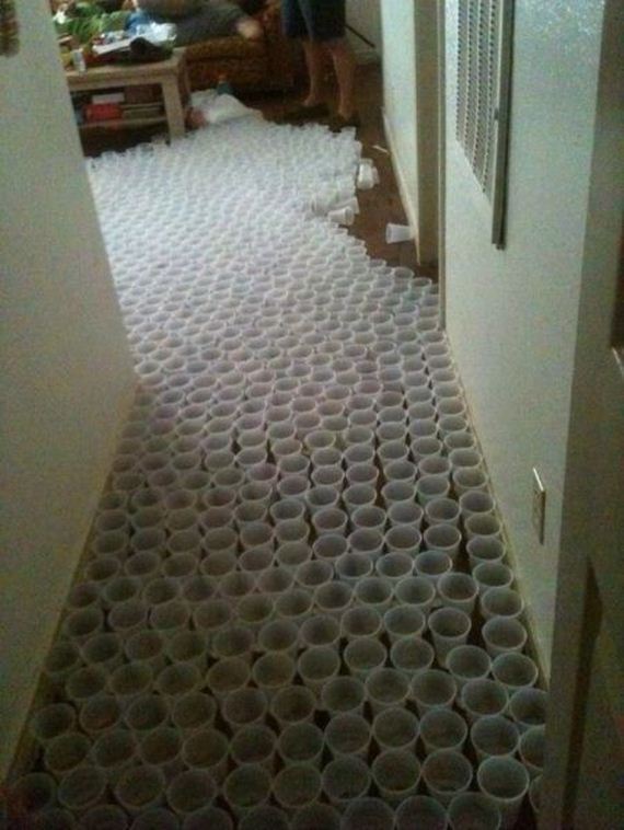 funny-pictures-731