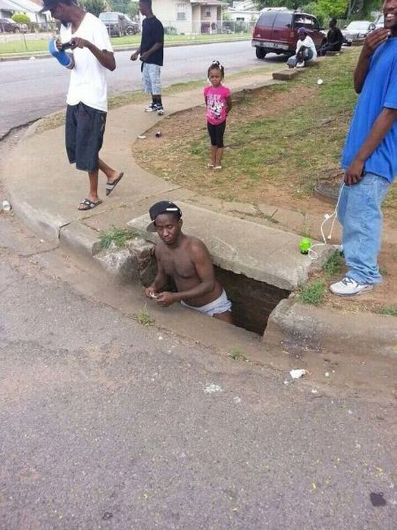 funny-pictures-731