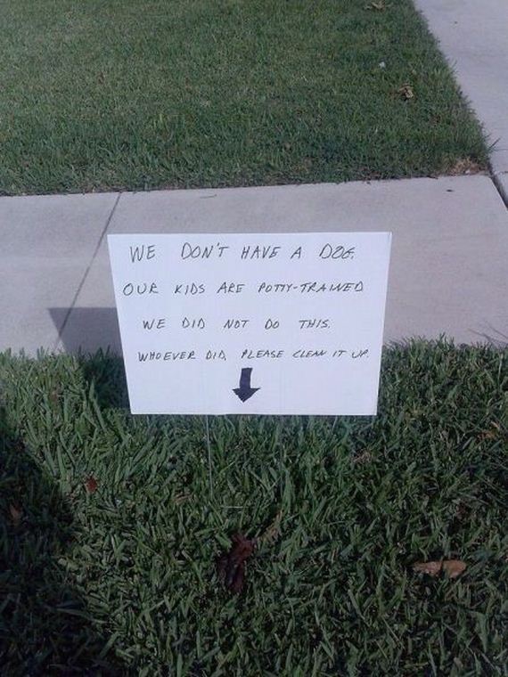 funny-pictures-732