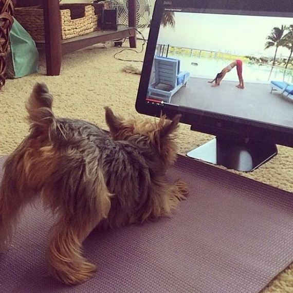 funny-pictures-733