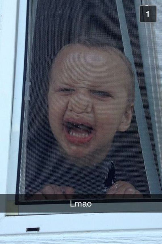 funny-pictures-733