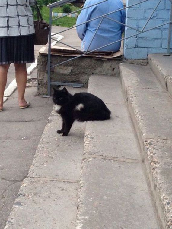 funny-pictures-733