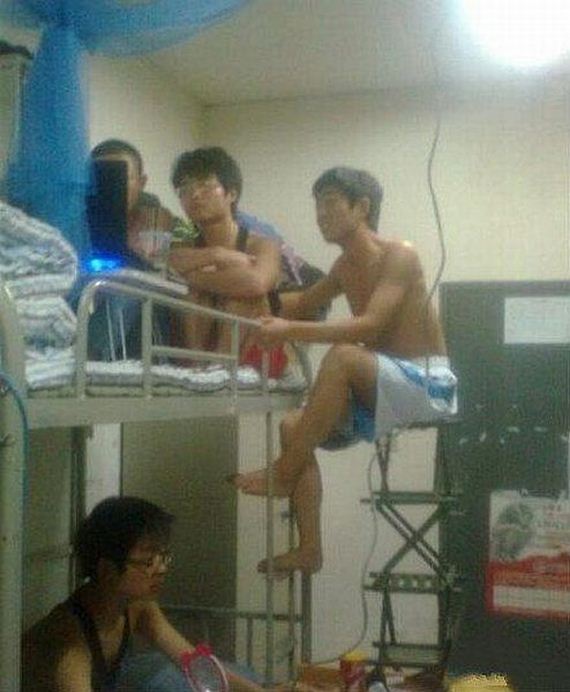 funny-pictures-733