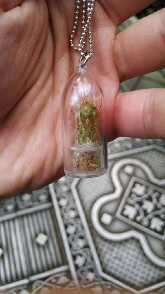 funny-pictures-735