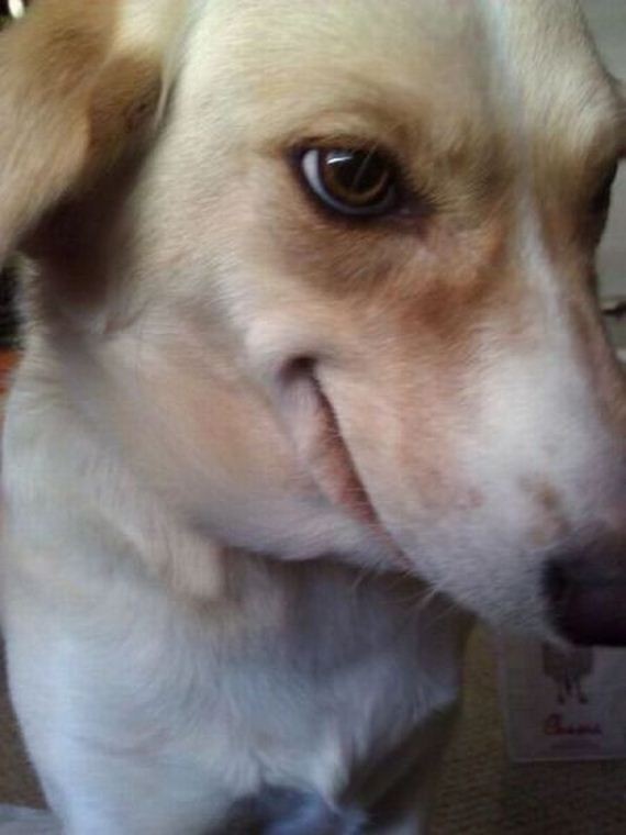 funny-pictures-735