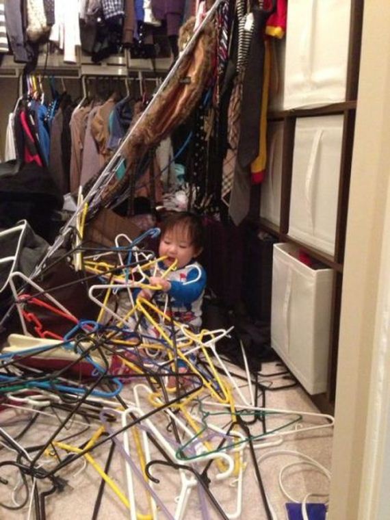 funny-pictures-735