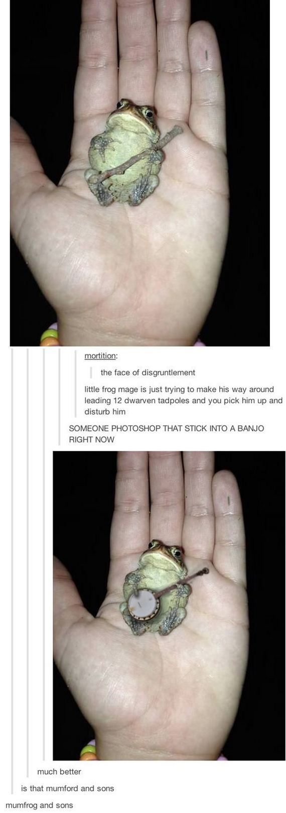 funny-pictures-736