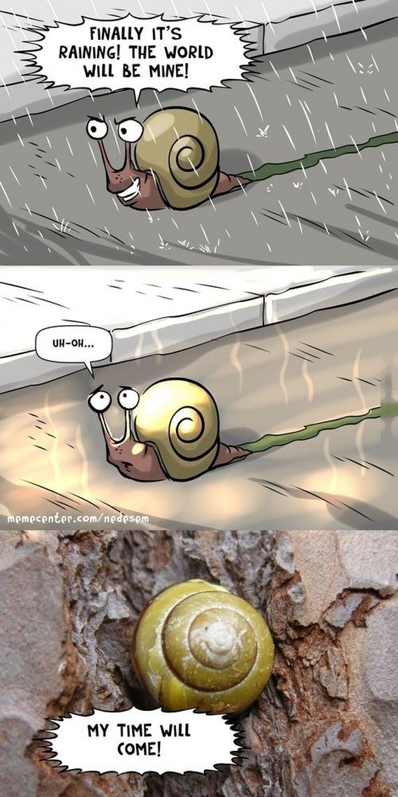 funny-pictures-736