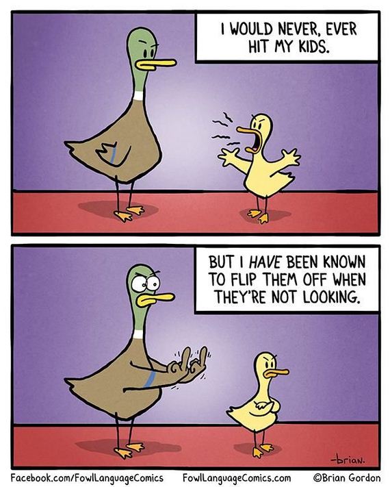 funny-pictures-736