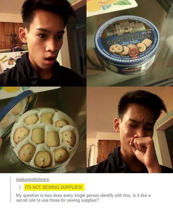 funny-pictures-736