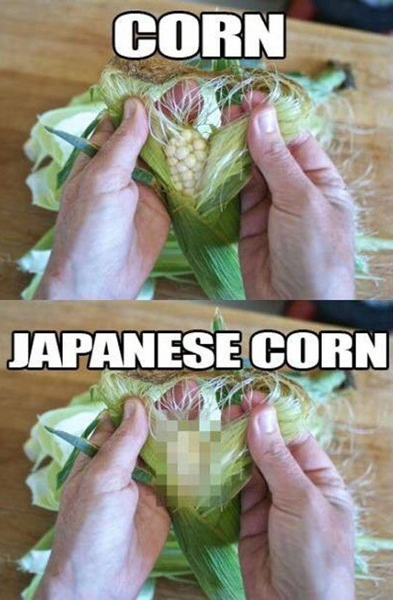 funny-pictures-736