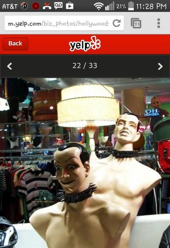 funny-pictures-736