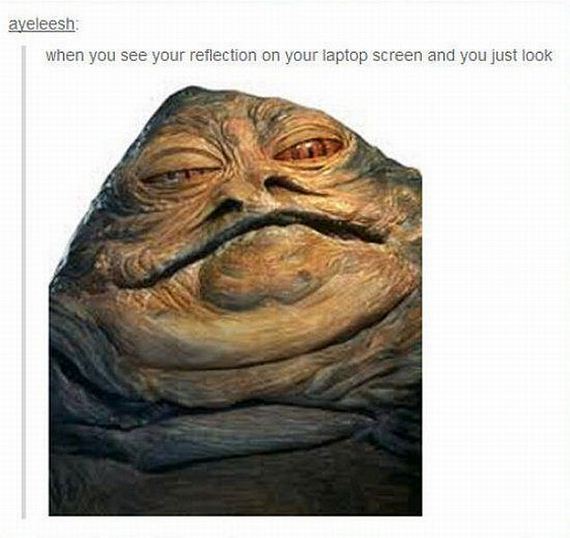 funny-pictures-736