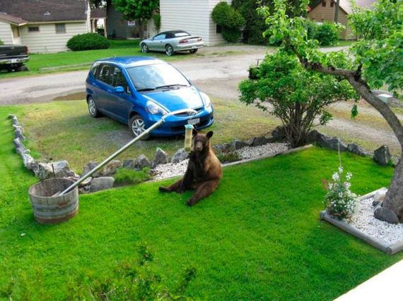 funny-pictures-738