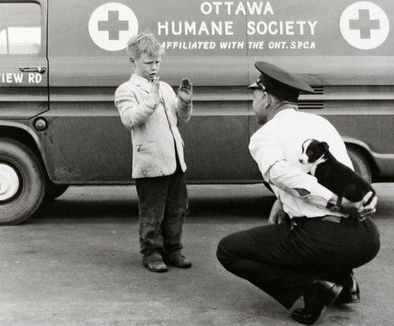 funny-pictures-738