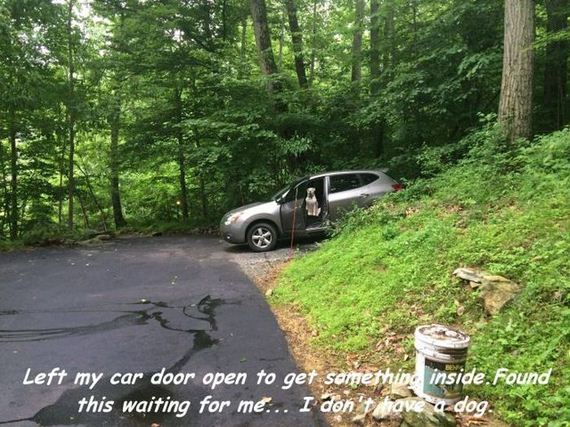 funny-pictures-738