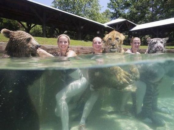 funny-pictures-738