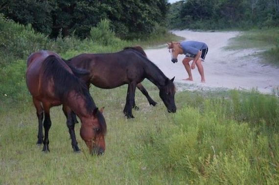 funny-pictures-738