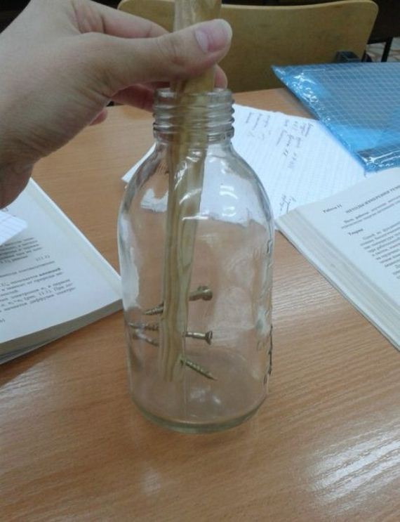 funny-pictures-738