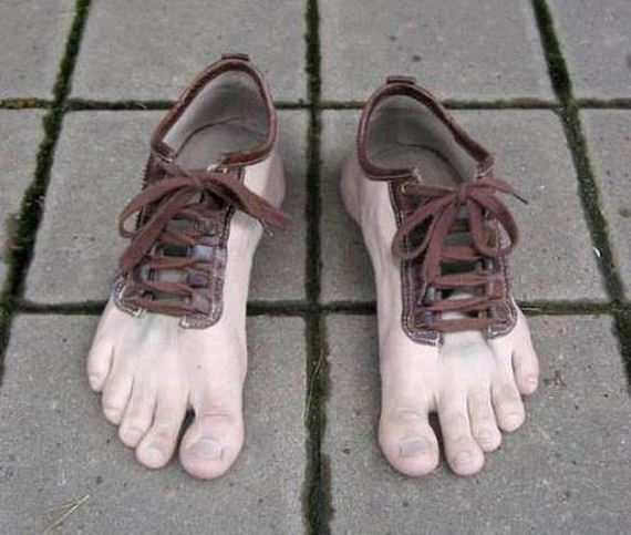 funny-pictures-739