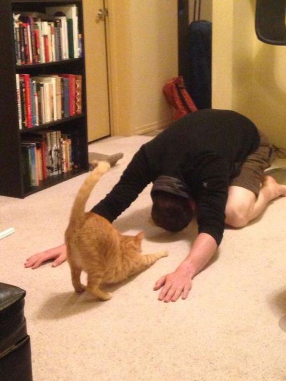 funny-pictures-739