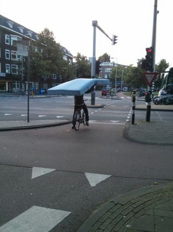 funny-pictures-739