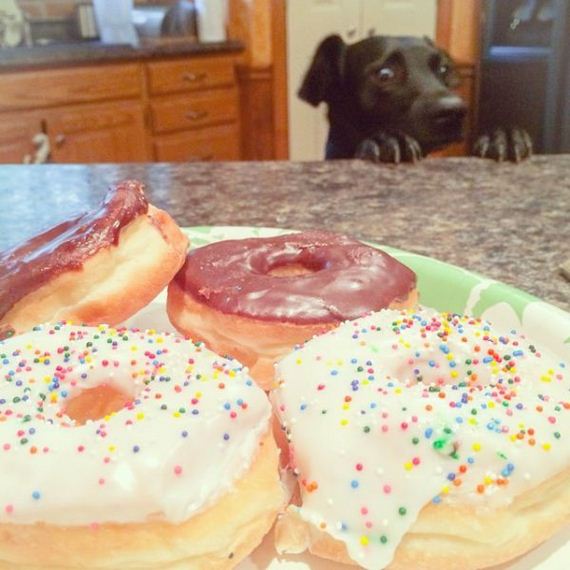 funny-pictures-739