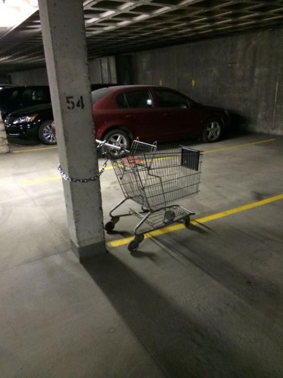 funny-pictures-739