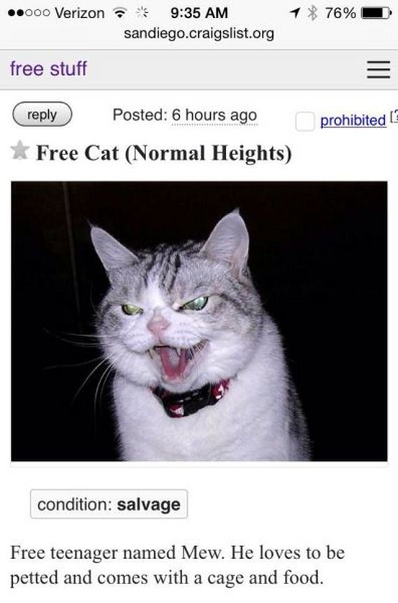 funny-pictures-739