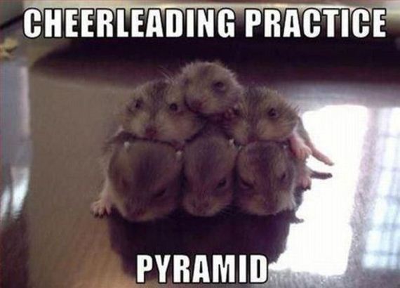 funny_captions