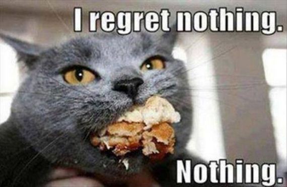 funny_captions