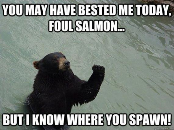funny_captions