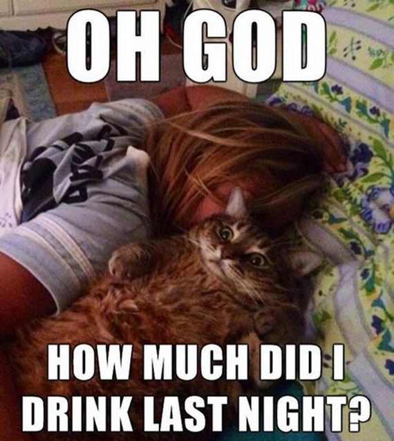 funny_captions