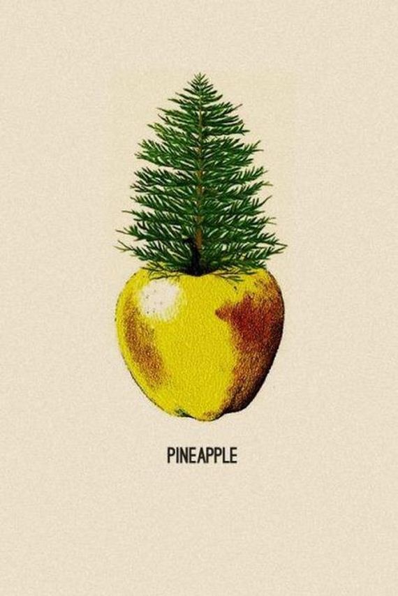 funny_puns_14