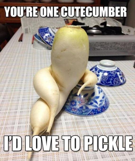 funny_puns_14