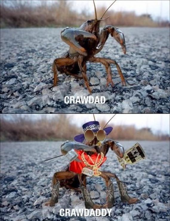 funny_puns_14