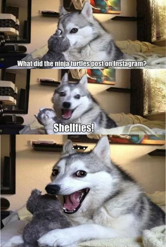funny_puns_14