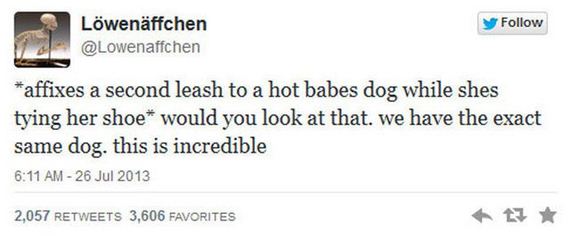 funny_tweets
