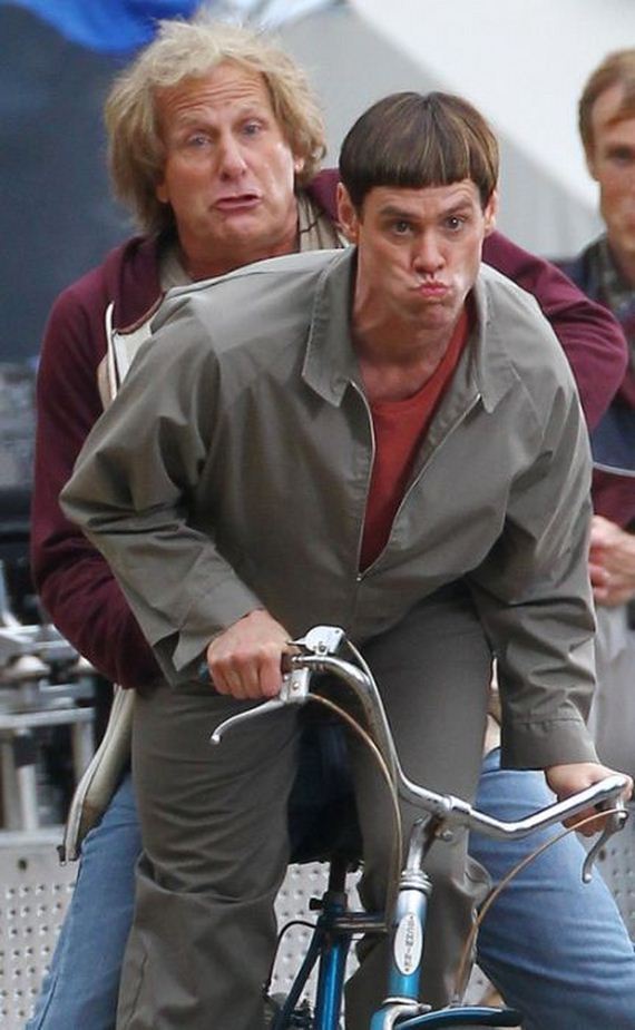 gallery_main_dumb_dumber_to