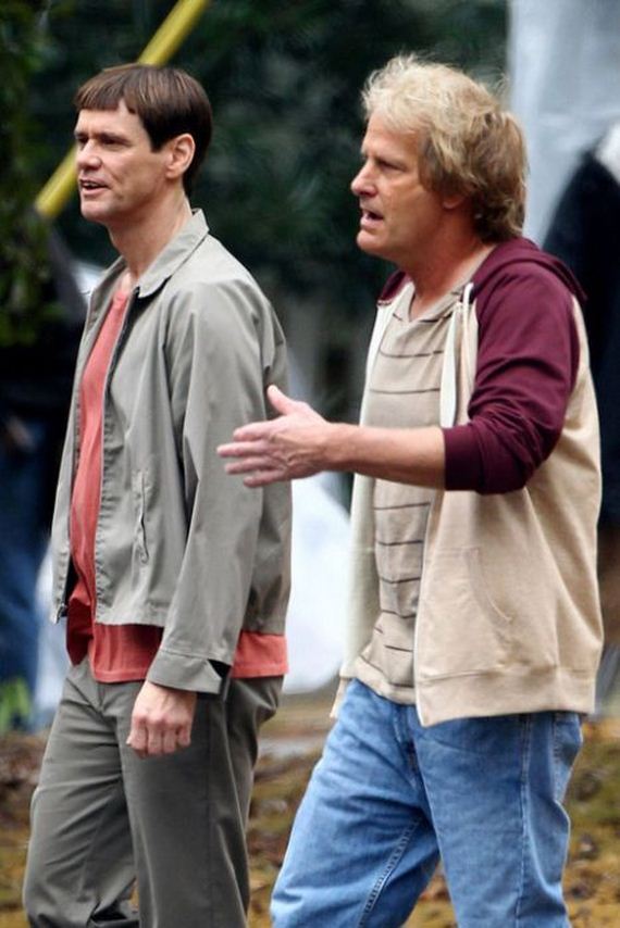 gallery_main_dumb_dumber_to