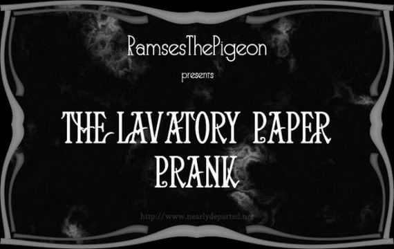 how_to_execute_the_most_annoying_toilet_paper_prank_ever