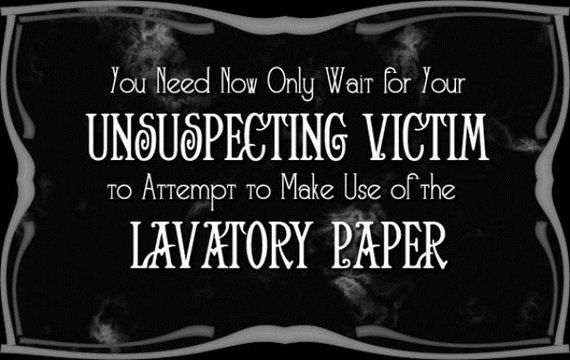 how_to_execute_the_most_annoying_toilet_paper_prank_ever