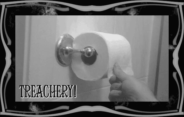 how_to_execute_the_most_annoying_toilet_paper_prank_ever