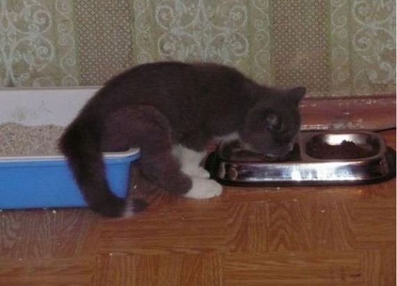 how_to_multitask_like_a_boss