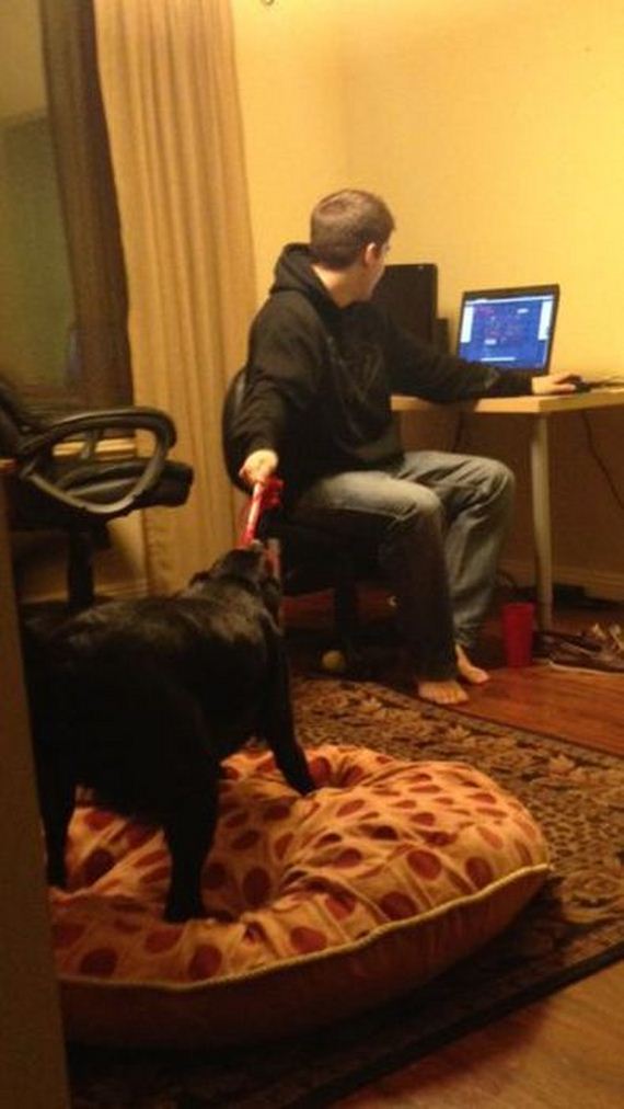 how_to_multitask_like_a_boss