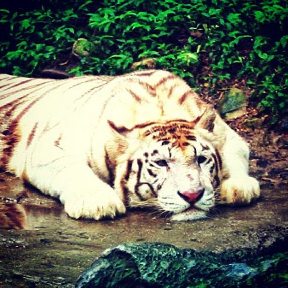 instagram_02