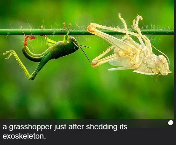 interesting_facts_about_science