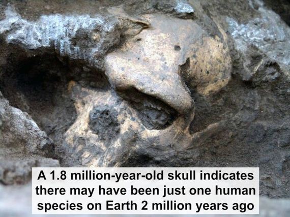 interesting_facts_about_science