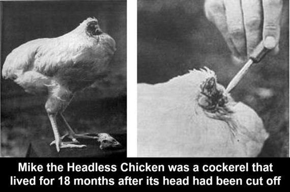interesting_facts_about_science