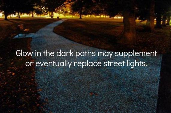 interesting_facts_about_science